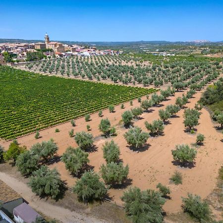 Hotel & Resort Vilar Rural D'Arnes By Serhs Hotels Sant Carles De La Rapita Luaran gambar
