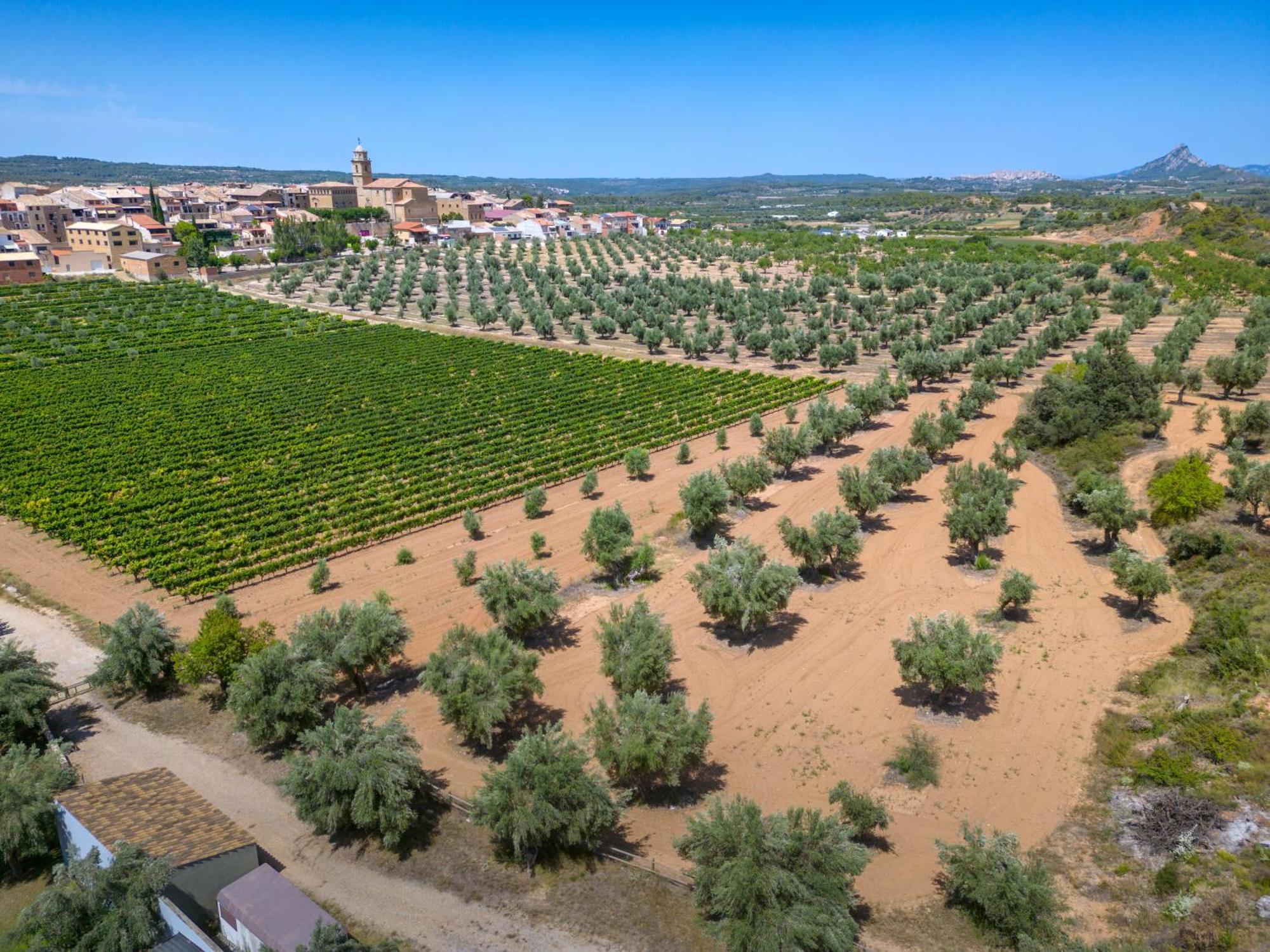 Hotel & Resort Vilar Rural D'Arnes By Serhs Hotels Sant Carles De La Rapita Luaran gambar