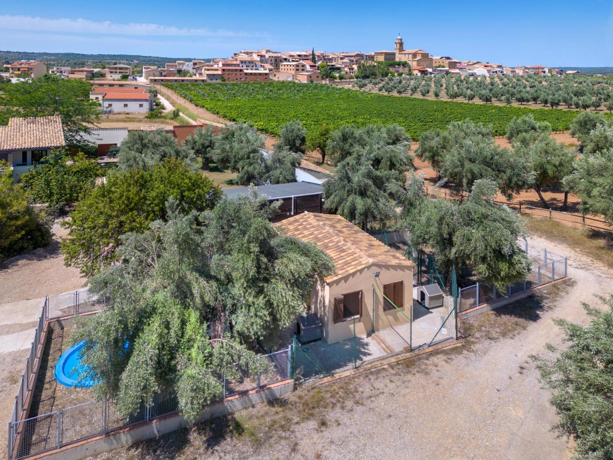 Hotel & Resort Vilar Rural D'Arnes By Serhs Hotels Sant Carles De La Rapita Luaran gambar