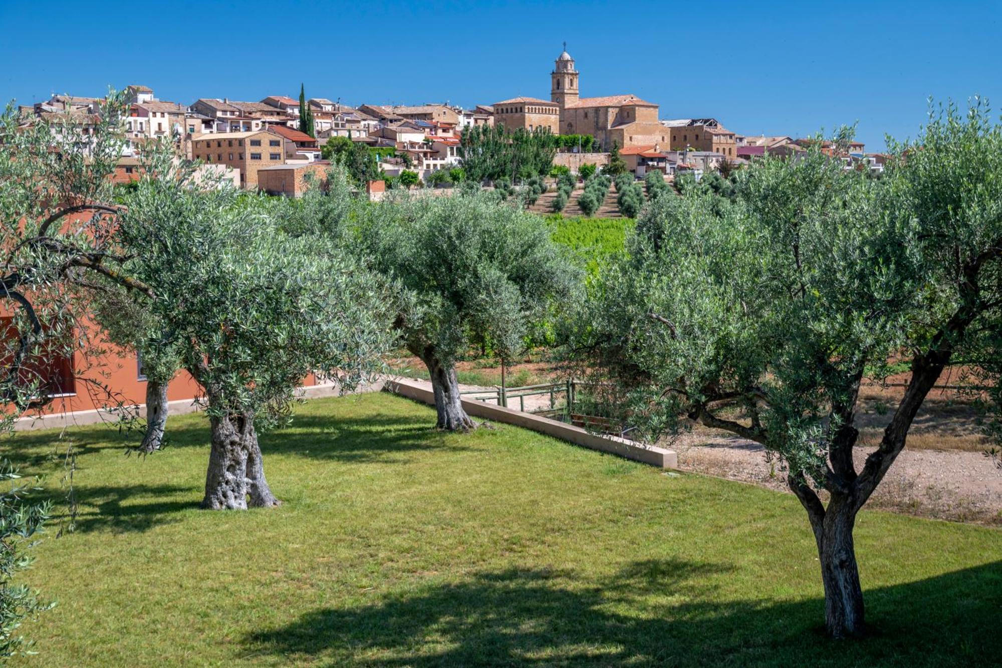 Hotel & Resort Vilar Rural D'Arnes By Serhs Hotels Sant Carles De La Rapita Luaran gambar